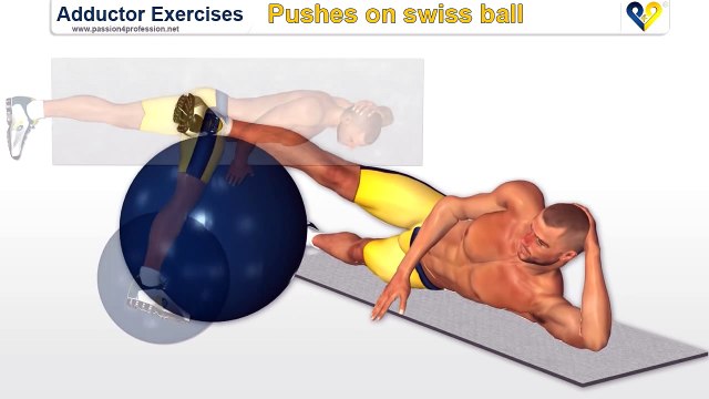 Adductor exercises Pushes on swiss ball for inner thighs