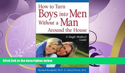 Enjoyed Read How to Turn Boys into Men Without a Man Around the House: A Single Mother s Guide