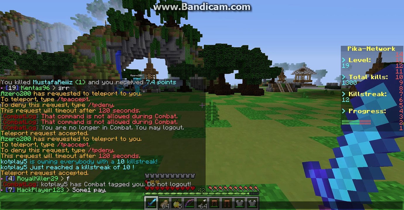 Hacker #7