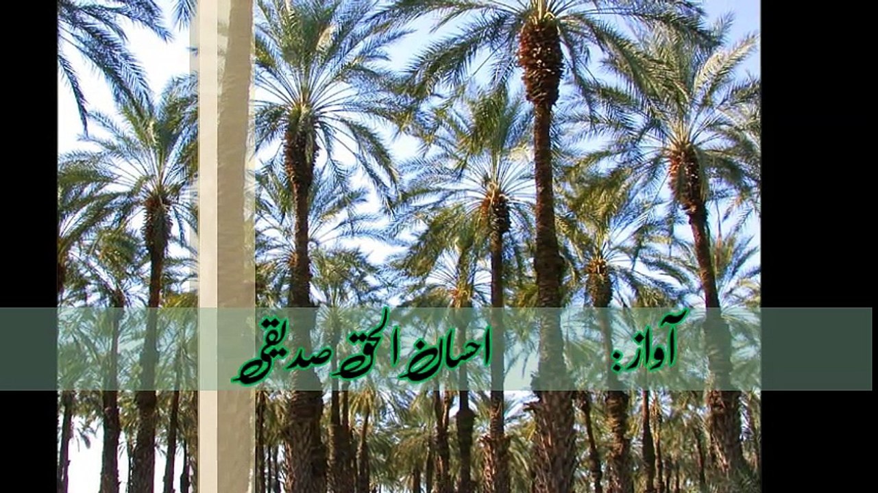 To shamma risalat hay