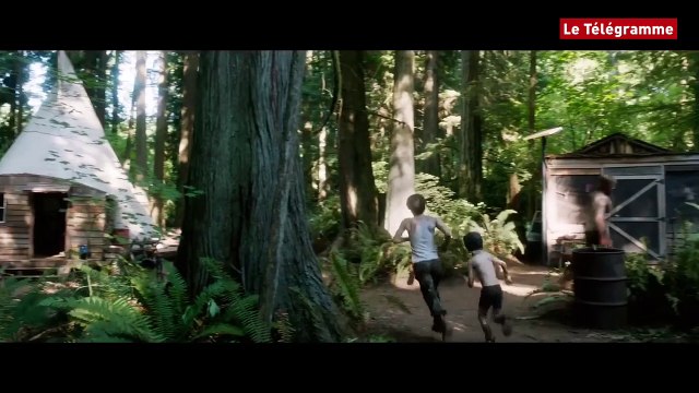 Captain Fantastic - Bande annonce