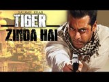 Salman Khan’s Role In Tiger Zinda Hai Film REVEALED | Watch Full Details