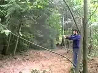 tir à l'arc Olivier