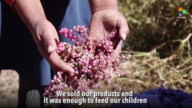 Las Bambas Cooper Mine in Peru: A Tragedy for Indigenous Communities