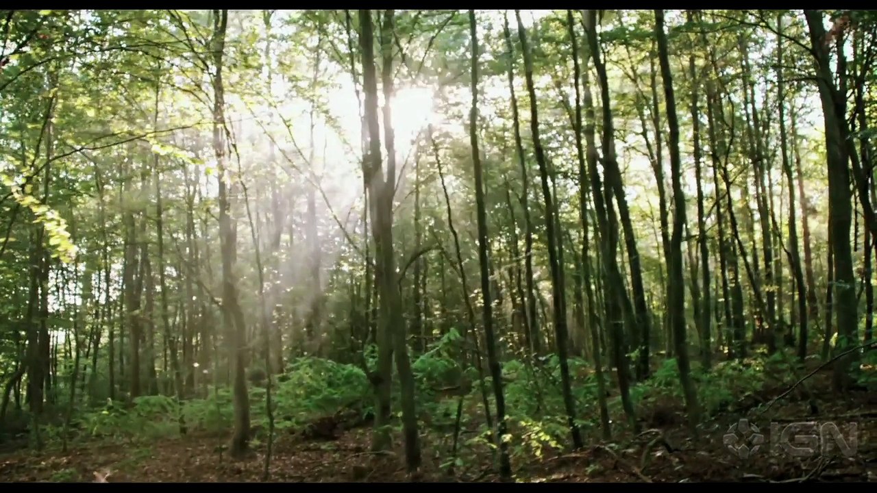 Blair Witch Trailer