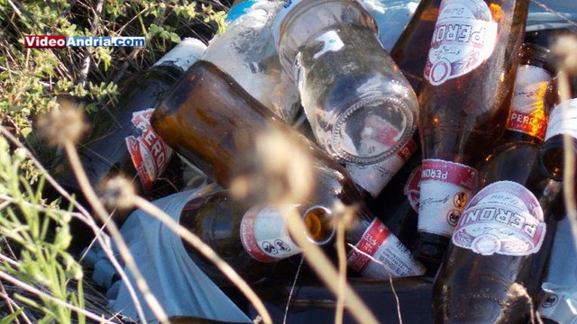 Trovate ad Andria decine di zucche abbandonate, uno spreco indecente