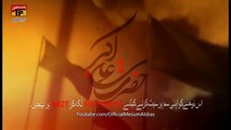 Beta Jawaan Hota Hai Noha by Mesum Abbas 2017