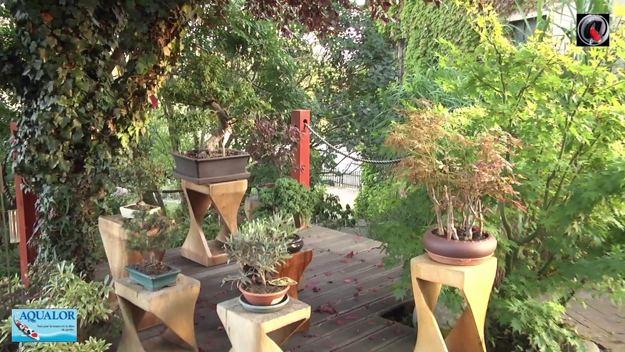 Le magnifique Jardin Japonais de Alain