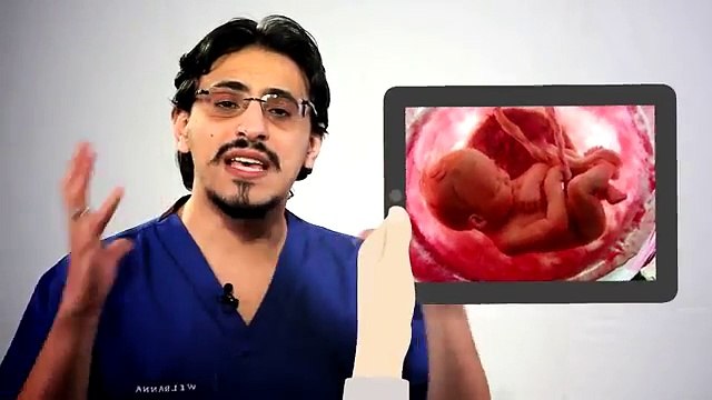 الجماع اثناء الحمل