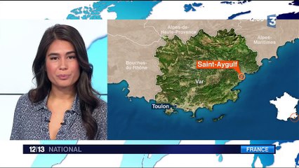 Var : les bébés tortues ont rejoint la mer à Saint-Aygulf