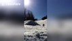 Skier attempts double backflip and it ends badly