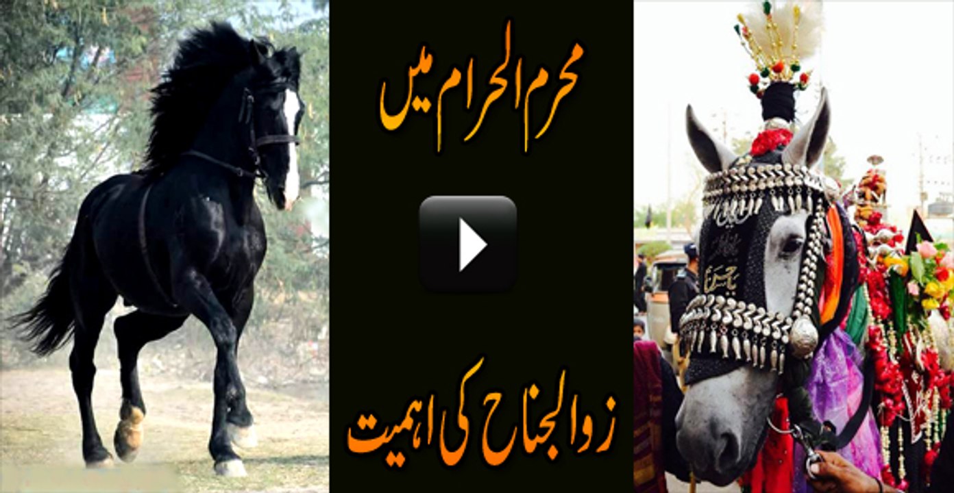 Zuljanah (Dhuljanah) is name of horse of Imam Hussein a.s in Karbala