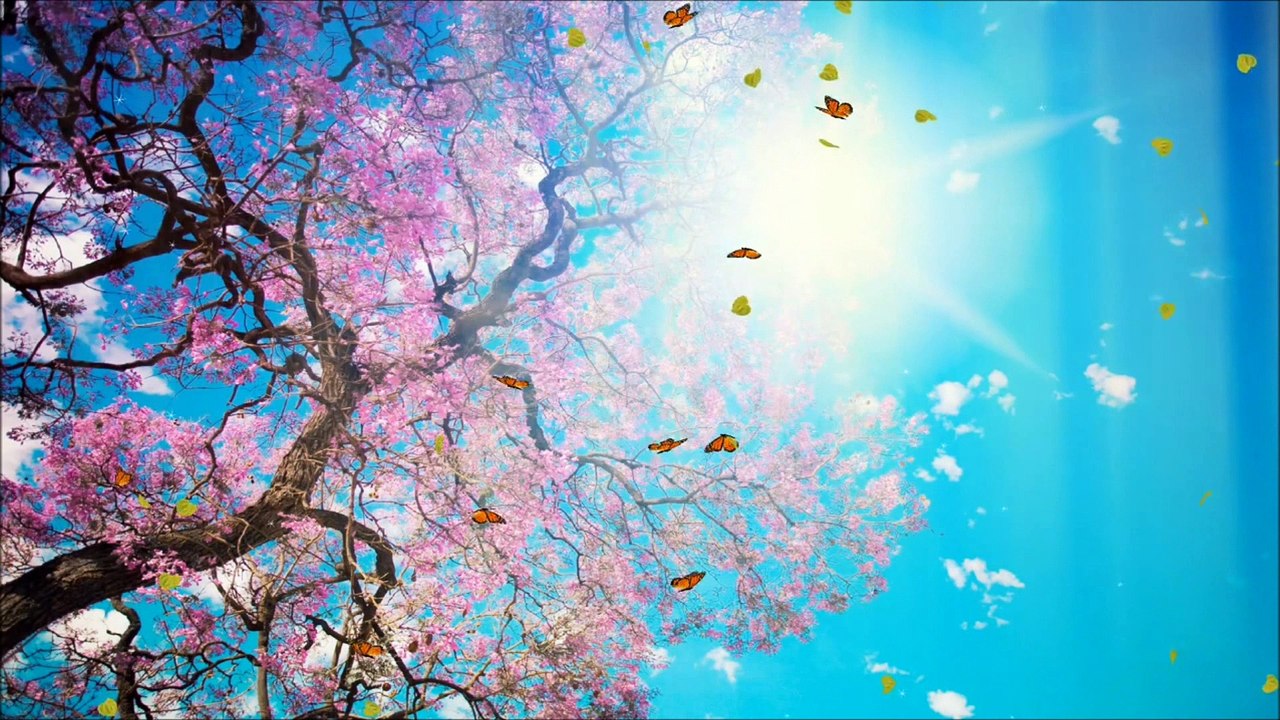 Belle journée à toi