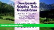 Books to Read  Grandparents Adopting Their Grandchildren: And How It Can Affect Their Relationship
