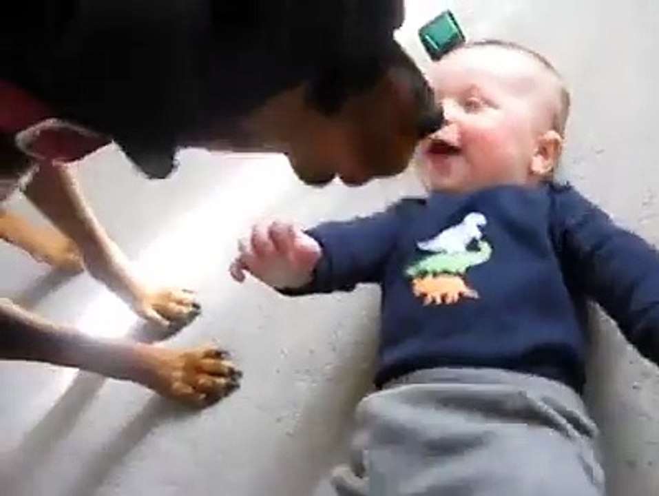 Köpeğin bebekle oynaşması harikasınız . Dogs are great to play with the baby.