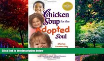 Big Deals  Chicken Soup for the Adopted Soul: Stories Celebrating Forever Families (Chicken Soup