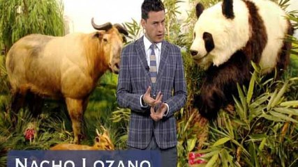 En Tiempo Real | Nacho Lozano | Puritita fauna sinvergüenstre