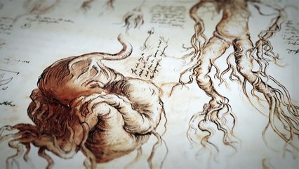 Harry Potter regresó con nuevo libro