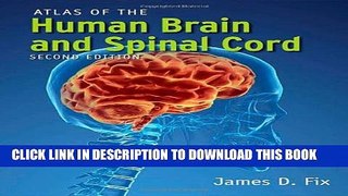 [PDF] Atlas Of The Human Brain And Spinal Cord Full Online