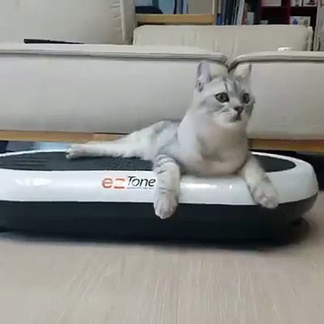 C'est moi! qui fais mes exercices lol