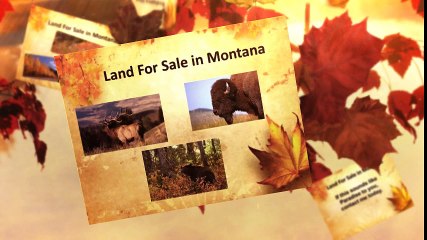 Land for Sale in Montana - Beautiful Wonder