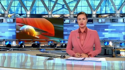 Украинские спецслужбы собираются задержать российских офицеров