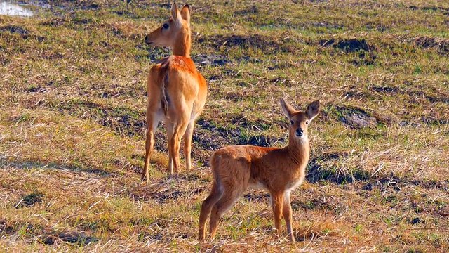 Western Zambia Tours & Travel