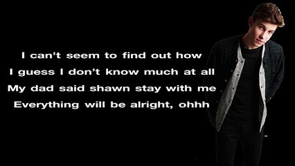 Shawn Mendes - Hold On  (Lyrics)