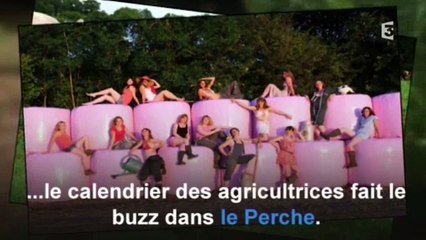 Le calendrier coquin de quinze agricultrices contre le cancer du sein