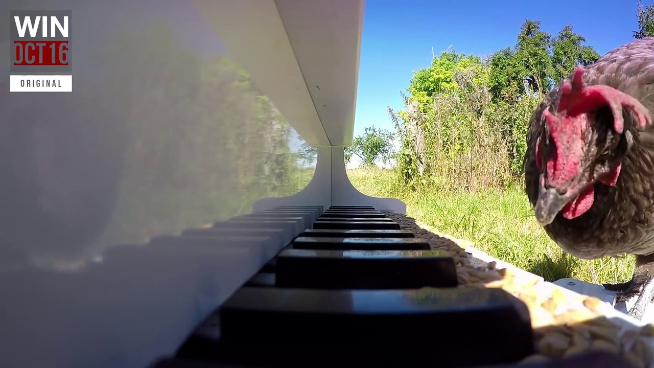 Meilleures vidéos et plus drôles de septembre 2016 !! WIN Compilation October 2016