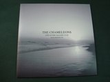 THE CHAMELEONS.''LIVE AT THE GALLERY CLUB MANCHESTER 1982.''.(IN SHREDS.)(12'' LP.)(2015.)