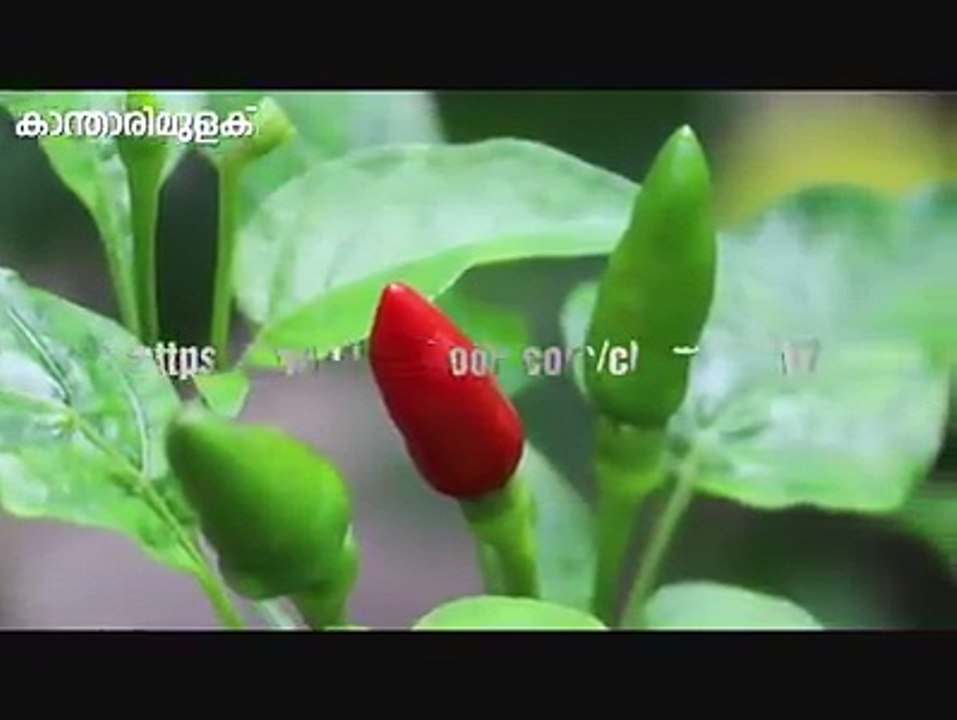 Test2