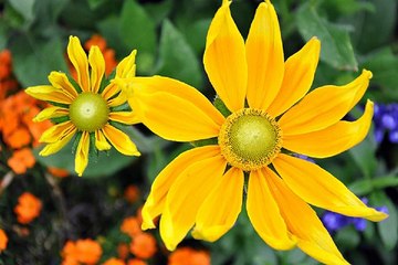 bamwar10.net 세종키스방 창원안마 밤의전 쟁