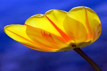 밤 의전쟁 - 강서건마 - 인천휴게텔