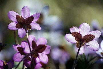 bamwar10.net 동탄키스방 부산안마 밤 전