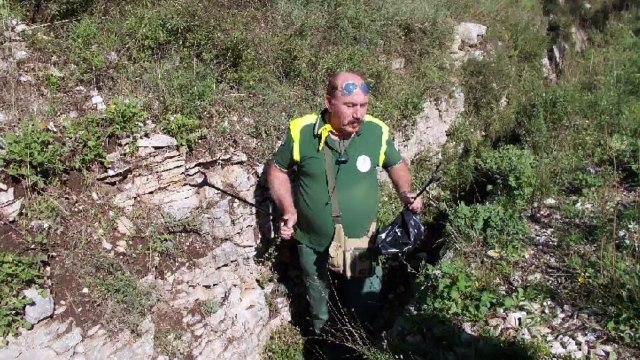 Avvistato branco di lupi ad Andria