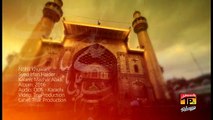 Ali Ya Ali - Syed Irfan Haider - 2016-17 -  Muharram 2016-17 - YouTube