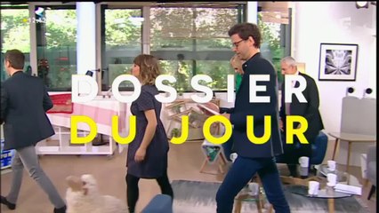 Les animaux sont-ils bien élevés?