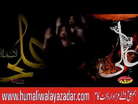 Irfan Haider Nohay 2017 Promo | Nohay 2017