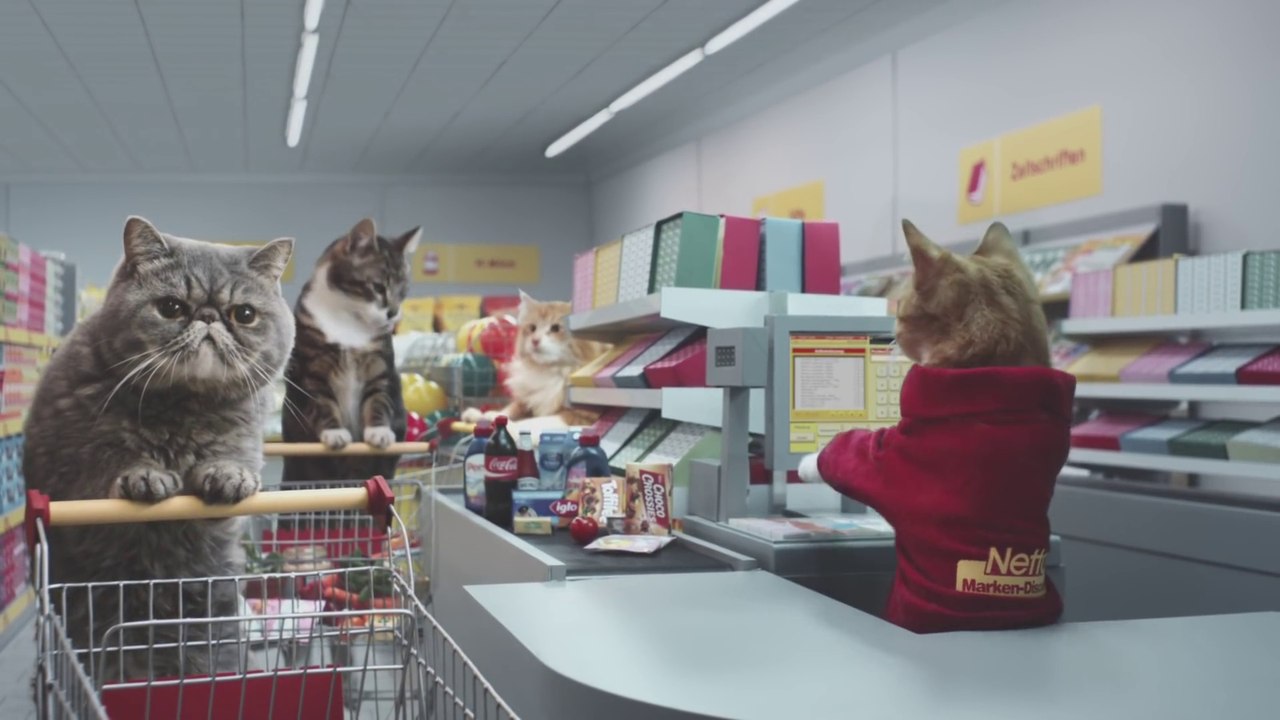 Des chats qui font leurs courses ! MDR ! [HD]