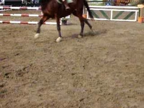 moi et élan en concours