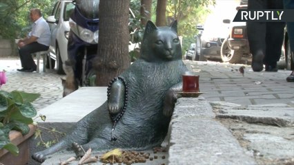 Gato famoso da internet ganha estátua na Turquia