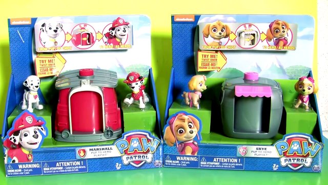 PAW PATROL Pup 2 Hero Skye & Marshall Playset Toys Surprise Mashems Fashems Toys Collection