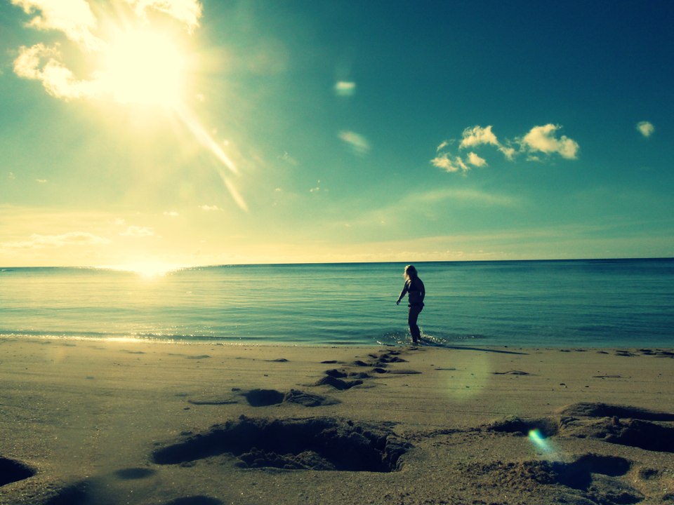 Fiji 2012