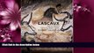 Popular Book Lascaux: Movement, Space and Time