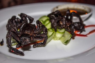 10 Things You Won’t Believe People Actually Eat