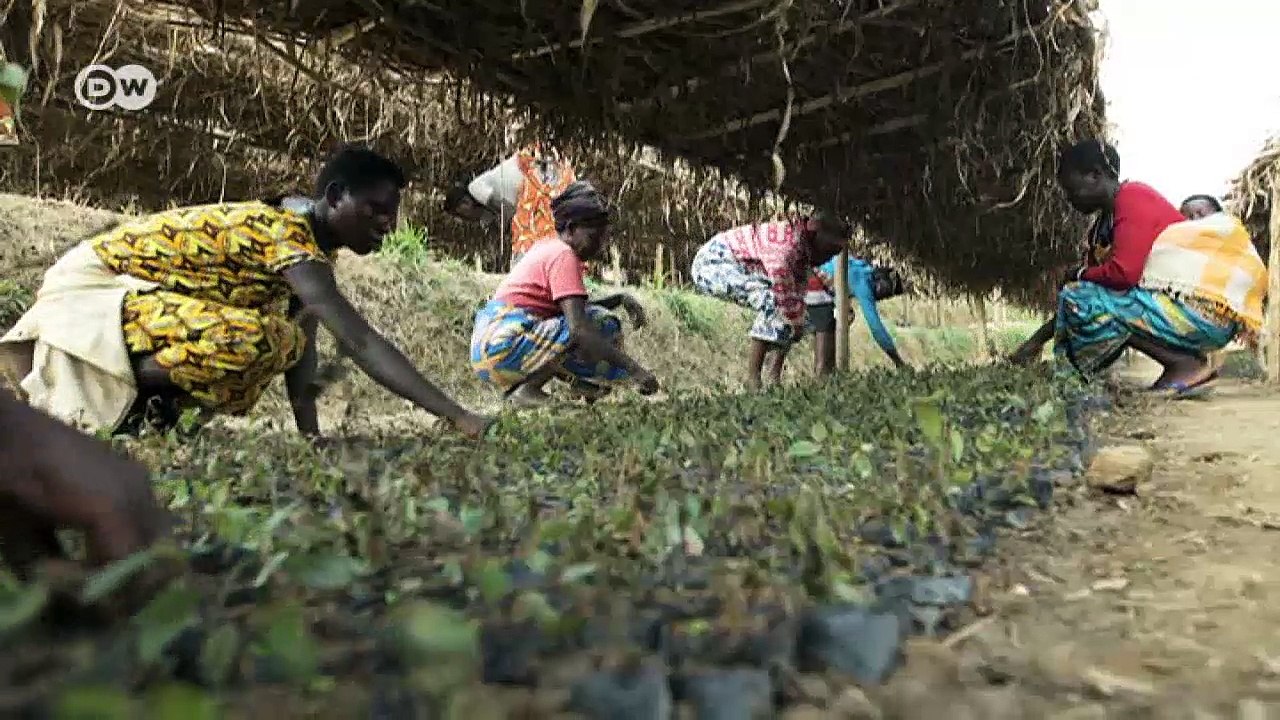Ohne das rugezi-moor droht ruanda wasserknappheit | global ideas