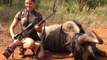 Top 10 Best Shots - Wild Boar Hunting_Chasse Au Sanglier
